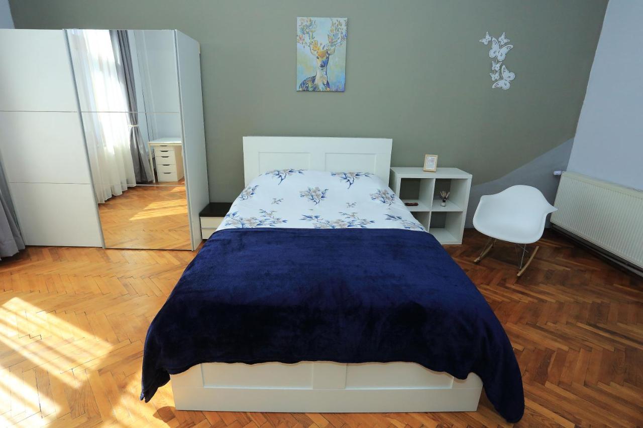 كلوج-نابوكا Napoca Central Apartment المظهر الخارجي الصورة