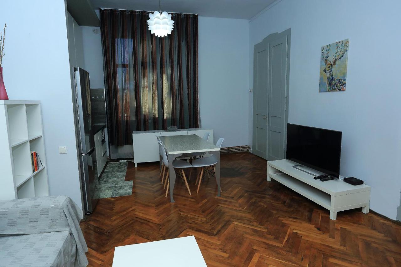 كلوج-نابوكا Napoca Central Apartment المظهر الخارجي الصورة