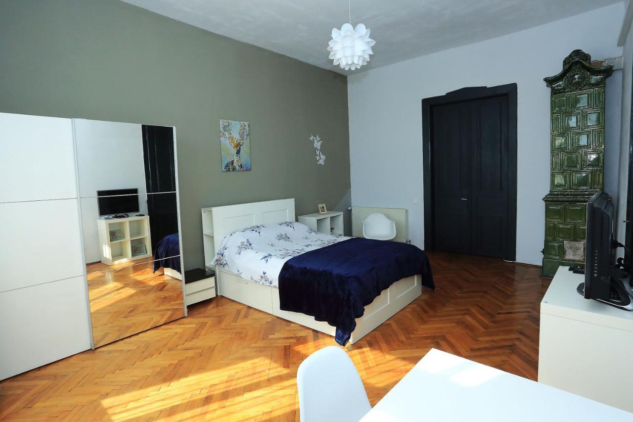 كلوج-نابوكا Napoca Central Apartment المظهر الخارجي الصورة