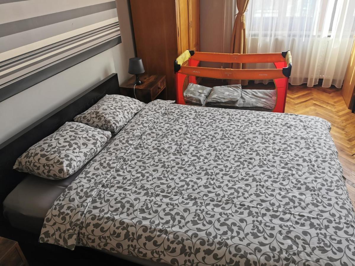 كلوج-نابوكا Napoca Central Apartment المظهر الخارجي الصورة