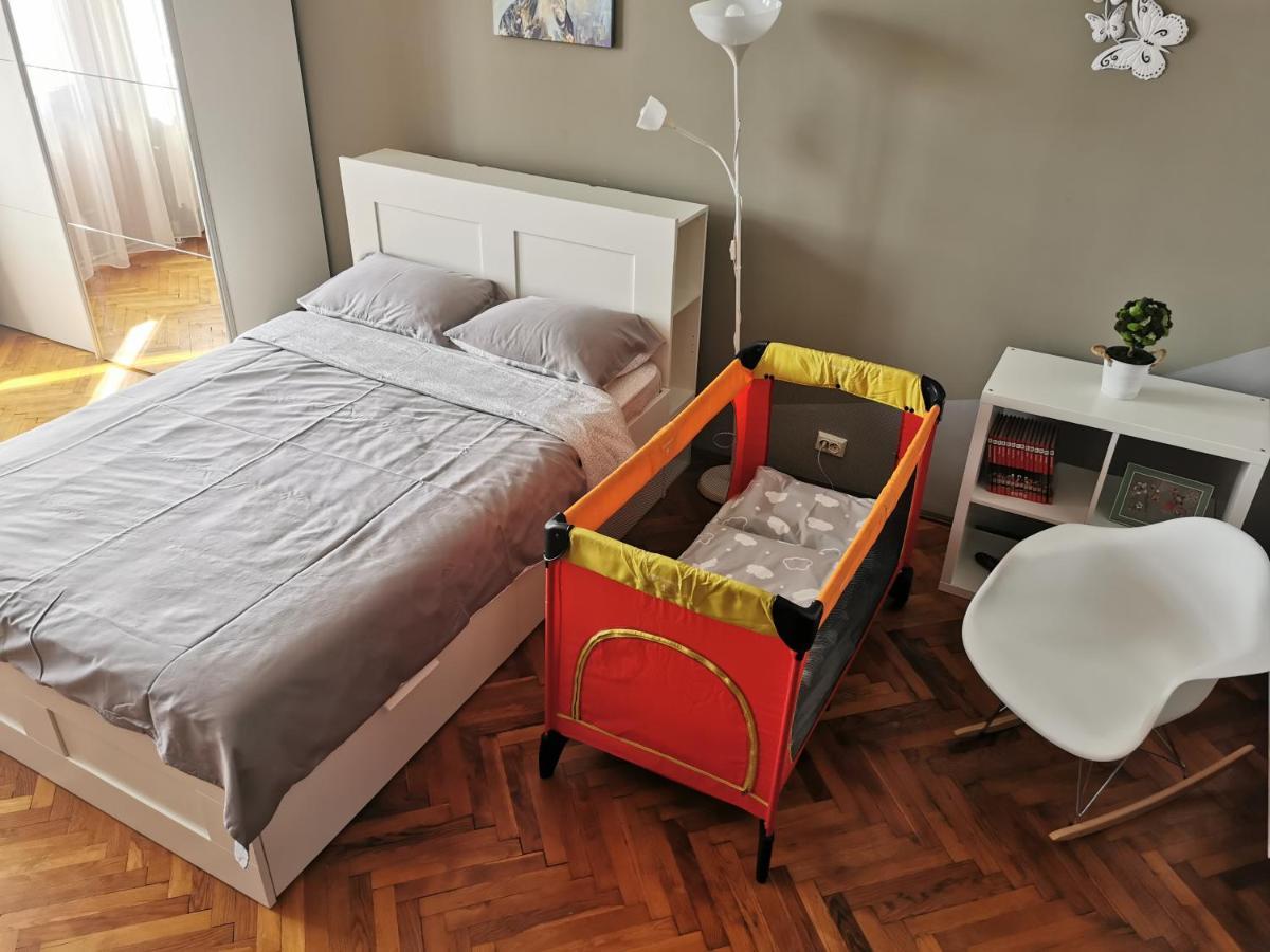 كلوج-نابوكا Napoca Central Apartment المظهر الخارجي الصورة